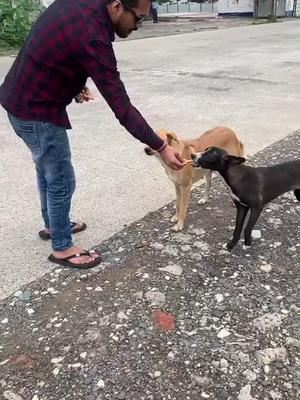 postei na minha conta secundária isso, eu só pesso por favor pra pararem de 1nfernizar minha vida, prometo q nn vai se repetir .