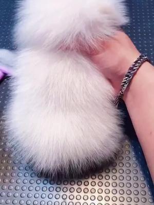 😍😍😍#iFondo #iFondo #trending #viral #hellokitty  | Automáticamente yo mostrándole que si lo soy😛 | Ojalá no vayas a ser otra loca obsesionada con hello kitty😒 | Country: CO