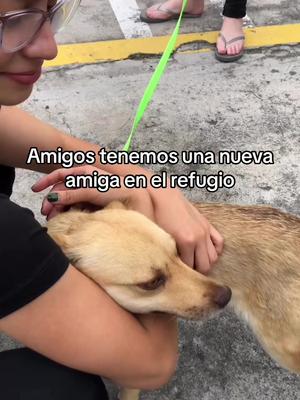 No me lo aprendi jajaj