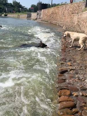 プール水着です