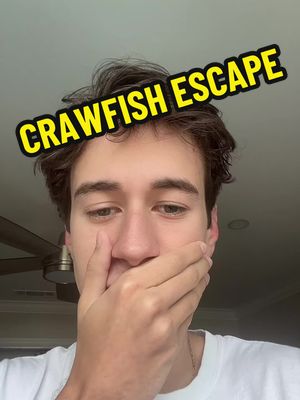 eu não uso discord, nunca criei conta lá!  | estão usando meus vídeos em vídeos falando que faço parte de panelinha  | eu não uso discord! minhas únicas redes são a rede vizinha e o tik tok!  | Fabulous