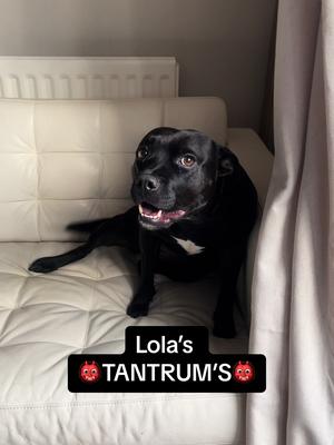 feemhofmann (@feemhofmann) sur TikTok 