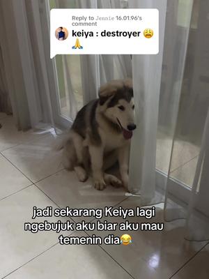 Ehehe selamat hari raya! ❤️