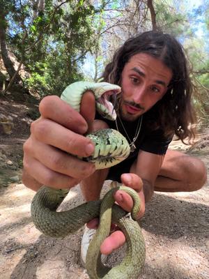 #stitch with @Mona Lisa longest hair braids in the world  | I would’ve looked the same way as the security guard  | I would’ve been like  | At least she’s mopping the floor I guess 