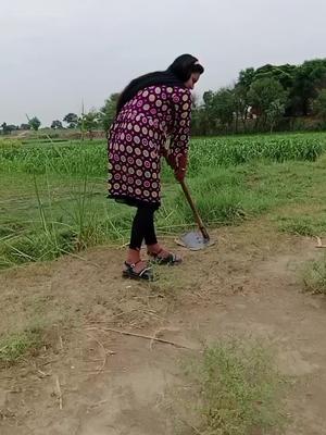 Nadia (@nadiaazizi_) on TikTok #fyp #wipeitdown #poseathome #tiktokgraduation #cookinghacks #jokes