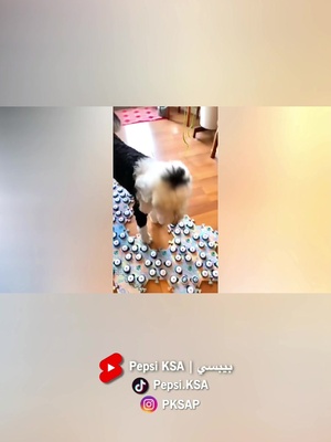 lex paloma (@lollylizard) on TikTok i can’t dance lmao